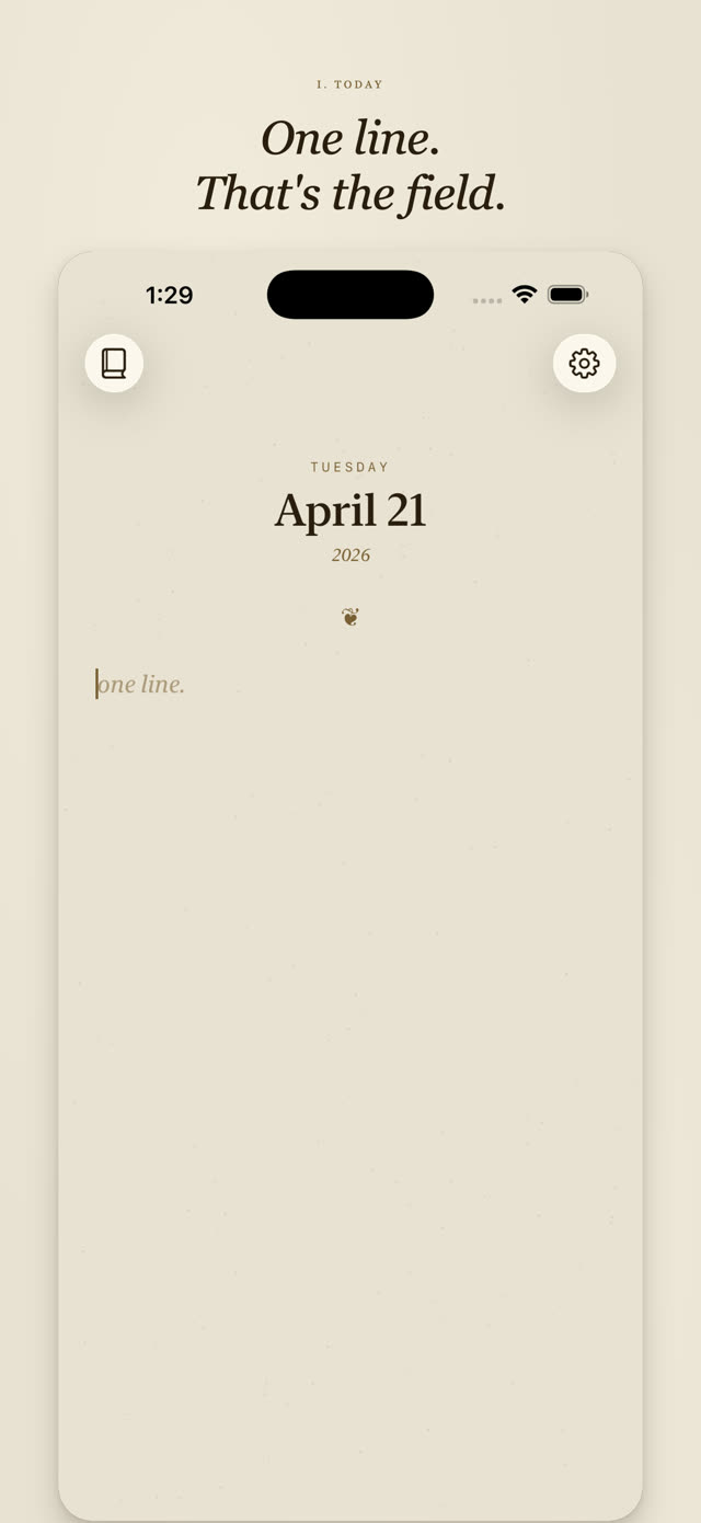 One Line in Time screenshot: Today's entry field